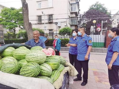 甘肃马滩吃瓜网,瓜果飘香，网聚乡愁的甜蜜之旅